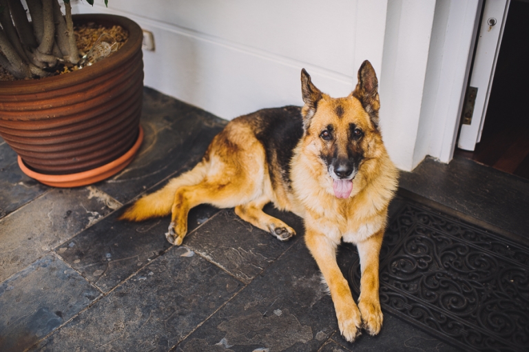 irene y javier_albertomahtani_032