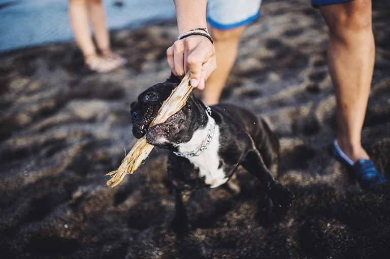 Eva y Punit_preboda_medano_Albertomahtani_09