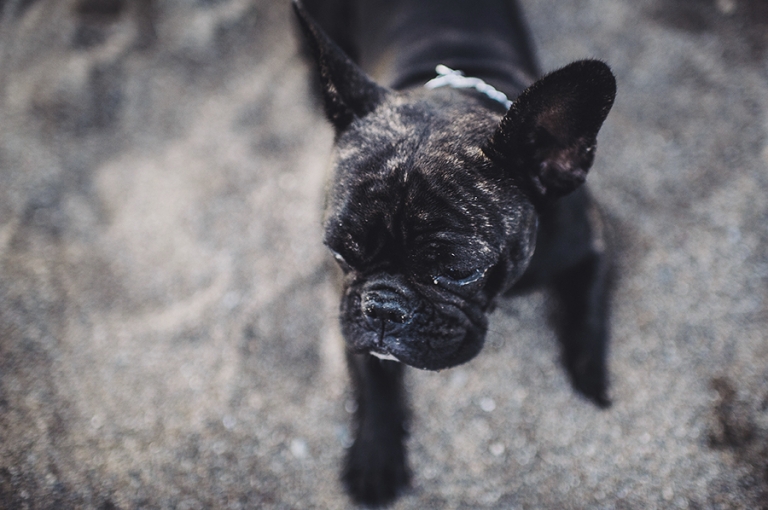 Eva y Punit_preboda_medano_Albertomahtani_32