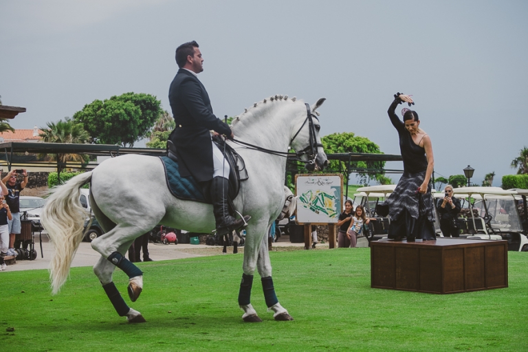 myj_albertomahtani_37